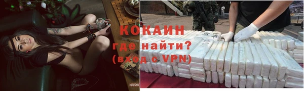прущий лед Новозыбков
