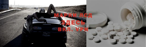 ECSTASY Новодвинск