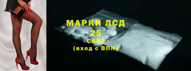 прущий лед Новозыбков