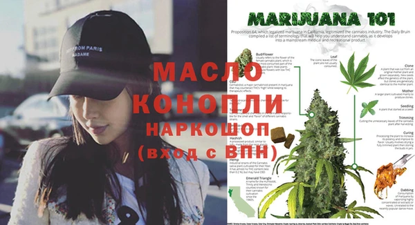 прущий лед Новозыбков