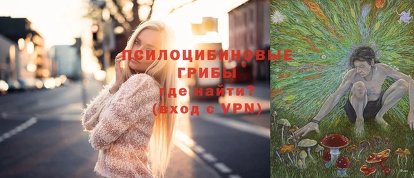 прущий лед Новозыбков