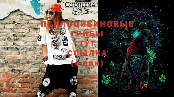 ECSTASY Новодвинск