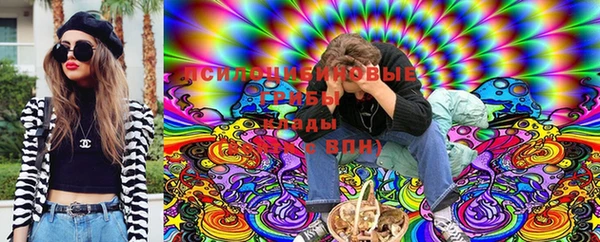 ECSTASY Новодвинск