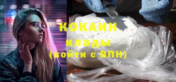 прущий лед Новозыбков